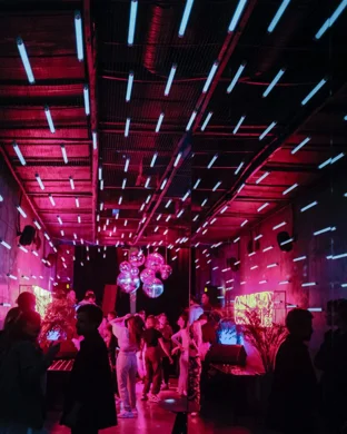 Infected Mushroom Detroit