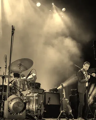 Andrew Bird Detroit