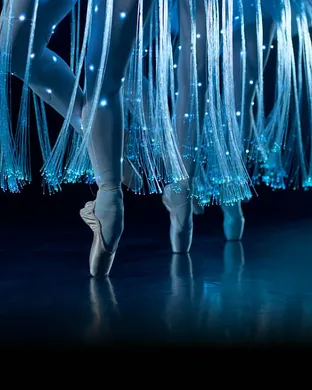 Ballet of Lights Detroit