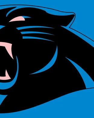 Carolina Panthers vs. Detroit Lions