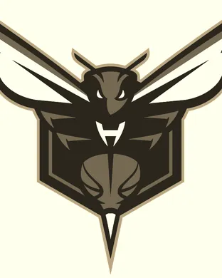 Charlotte Hornets Detroit