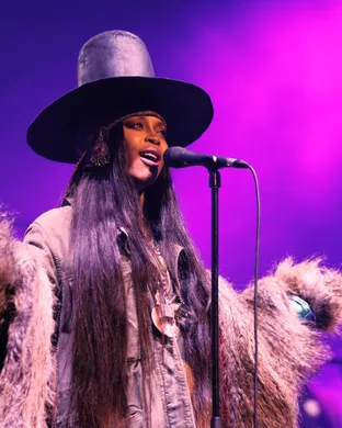 Erykah Badu Sterling Heights