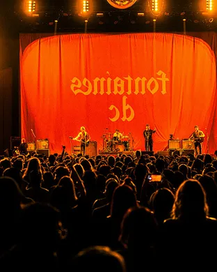Fontaines Dc Detroit