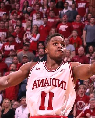 Indiana Hoosiers Ann Arbor