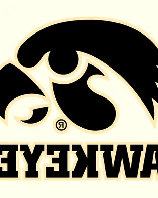 Iowa Hawkeyes Ann Arbor