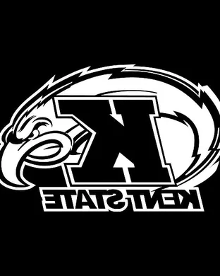 Kent State Golden Flashes Ypsilanti