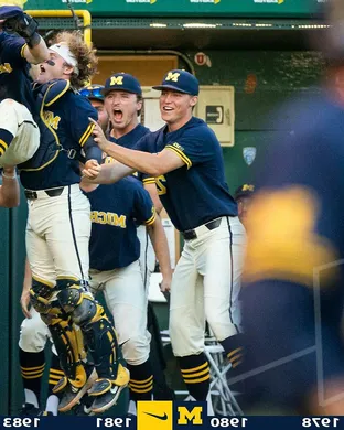 Michigan Wolverines Baseball Ann Arbor