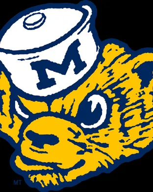 Michigan Wolverines Ann Arbor
