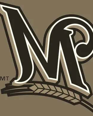 Milwaukee Brewers vs. Detroit Tigers
