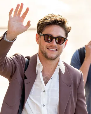 Niall Horan Detroit