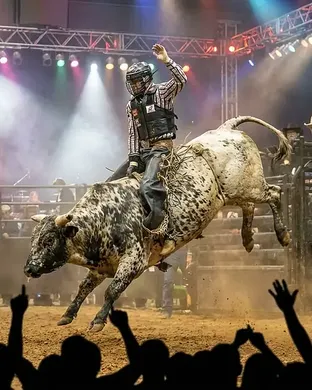 Professional Championship Bull Riders