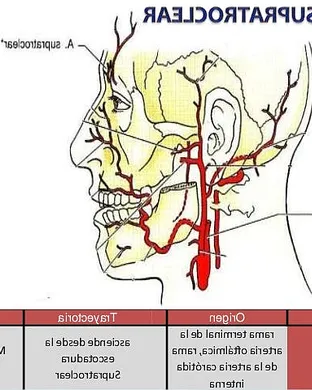 Rio Da Yung Og Pontiac