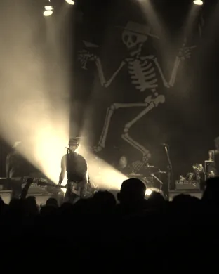 Social Distortion Detroit