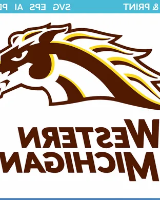 Western Michigan Broncos Ann Arbor