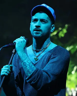 Zayn Detroit